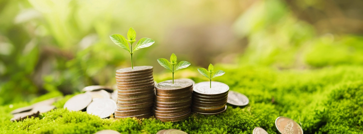 นโยบายและประวัติการจ่ายเงินปันผล